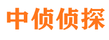 天峻市婚姻调查